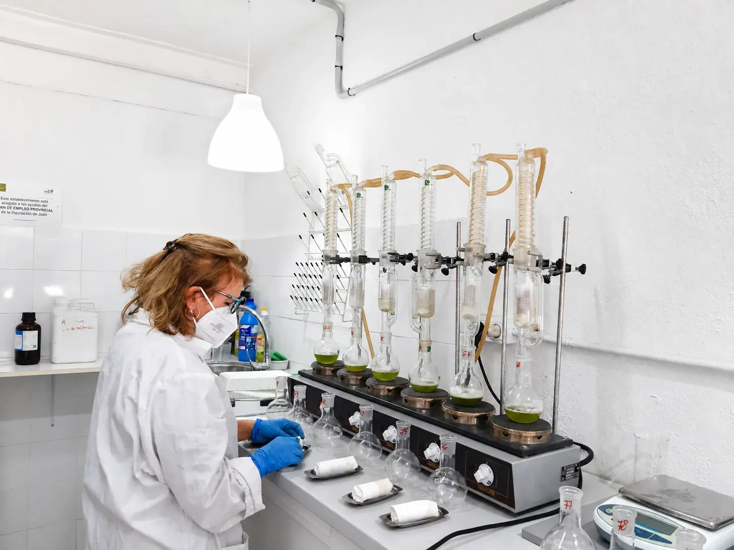 Análisis de aceituna mediante el método Soxhlet en el laboratorio